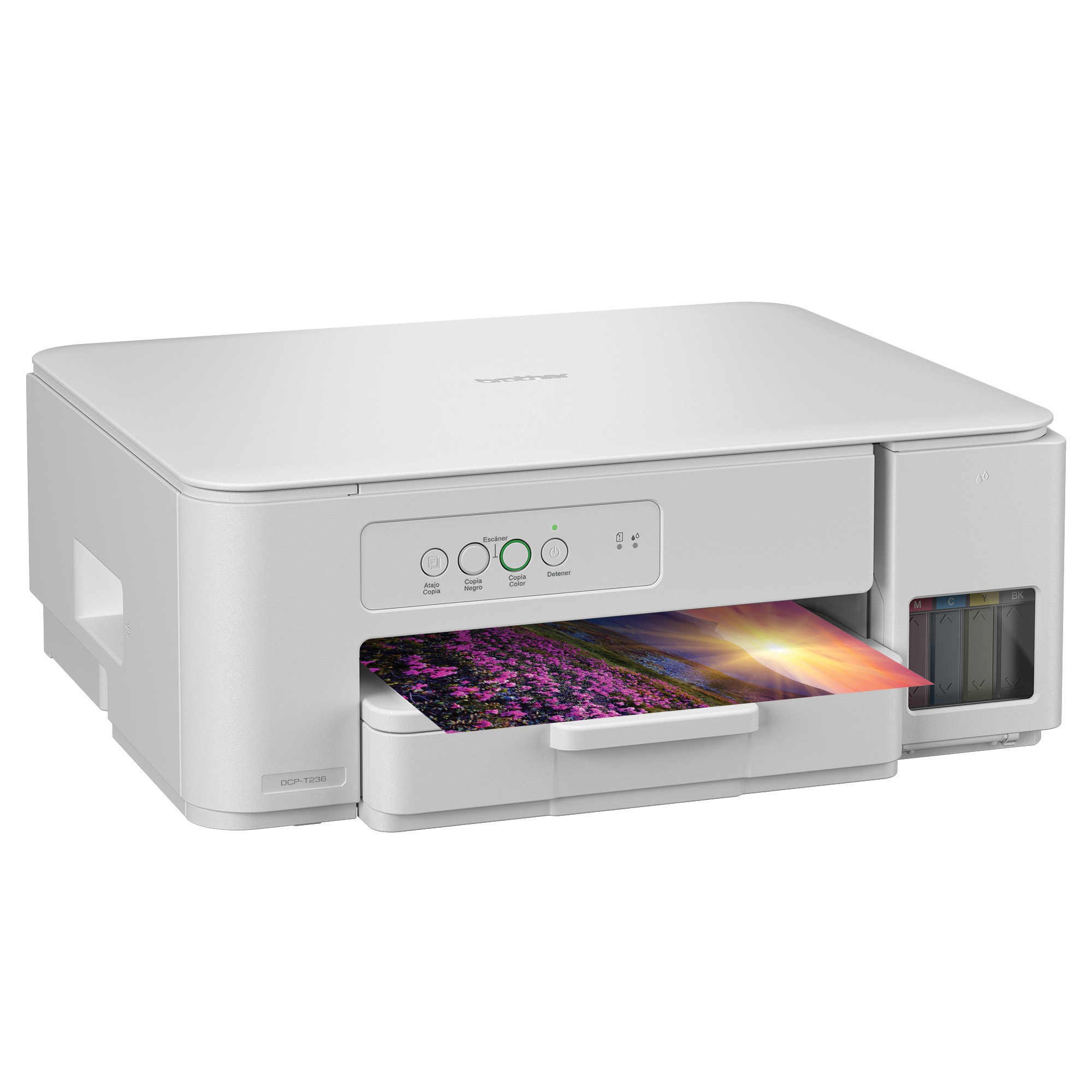 DCPT236-rightSample-SP